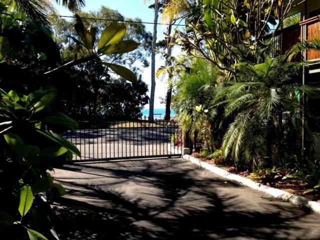 Coconut Palms On The Bay Aparthotel Hervey Bay Buitenkant foto